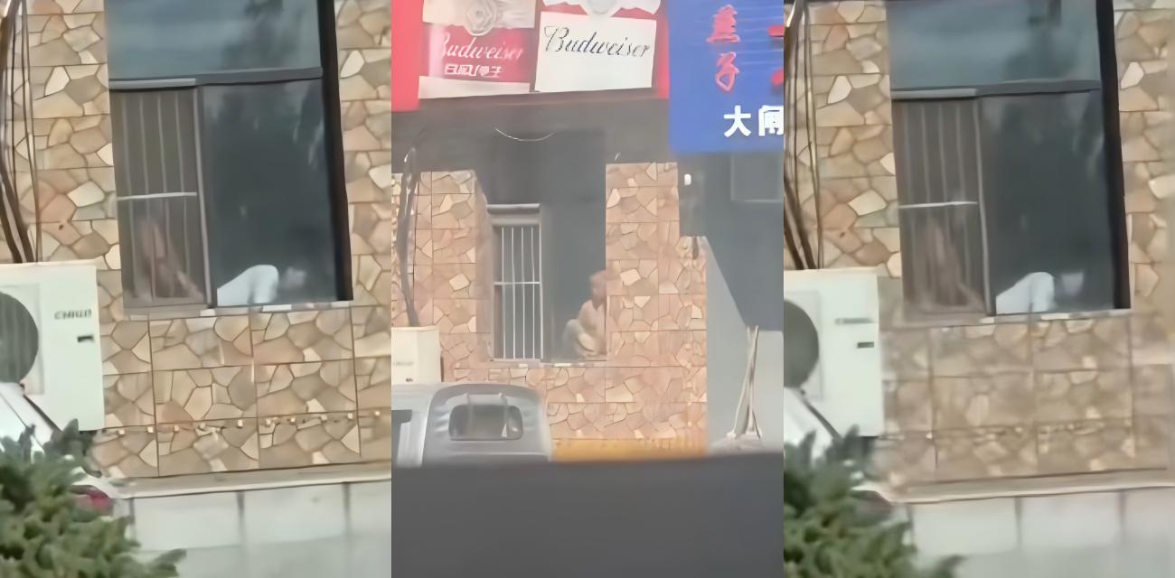 白山万历烧鸽子大瓜，门店装修窗前交欢路人偷拍视频火遍全网，老板借机宣传堪称商业鬼