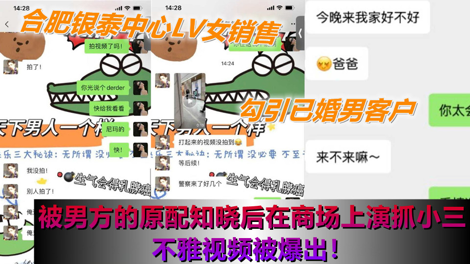 合肥银泰中心LV女销售勾引已婚男客户，被男方的原配知晓后在商场上演抓小三不雅视频被
